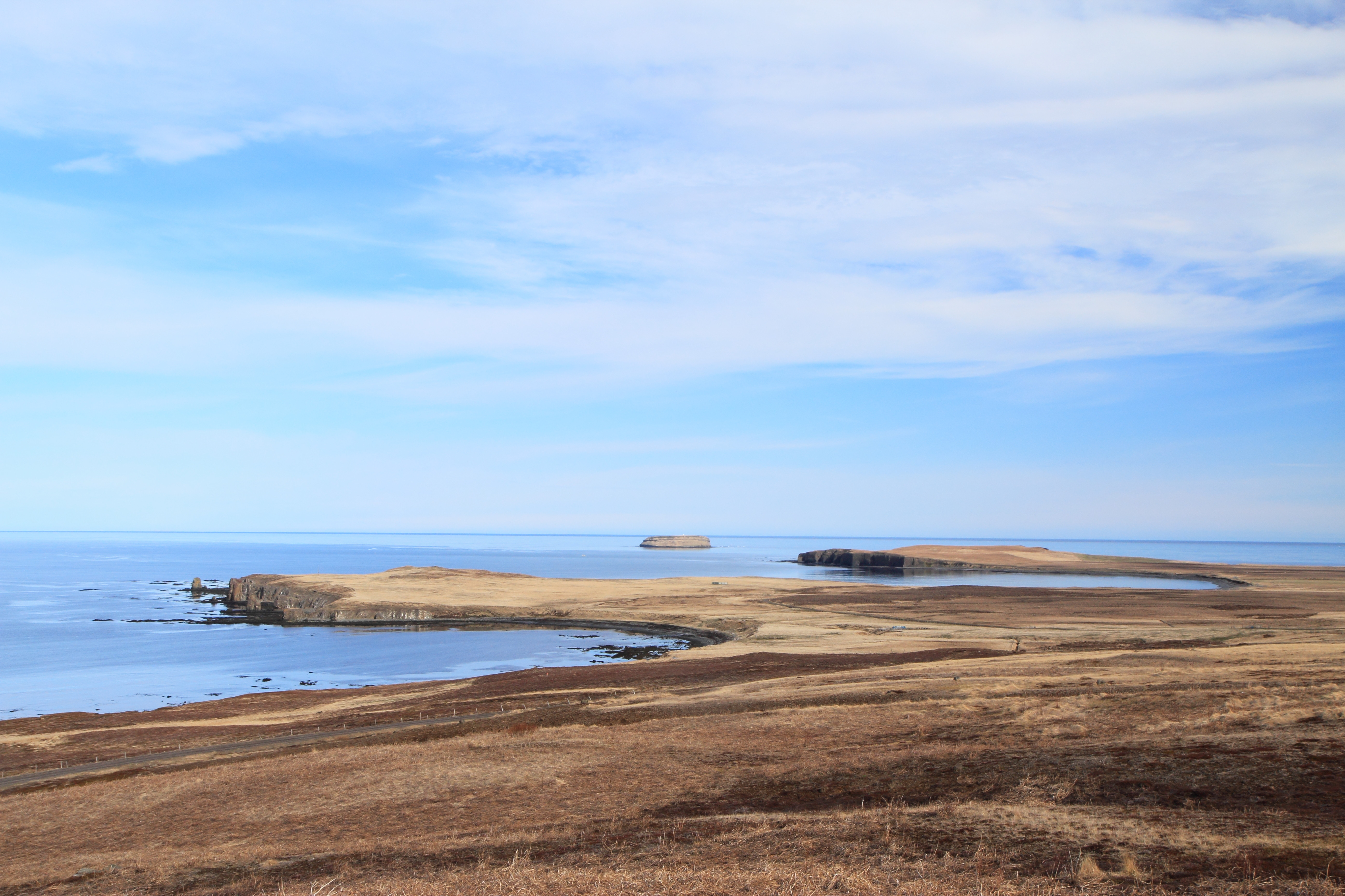 Skegla vikunnar komin út