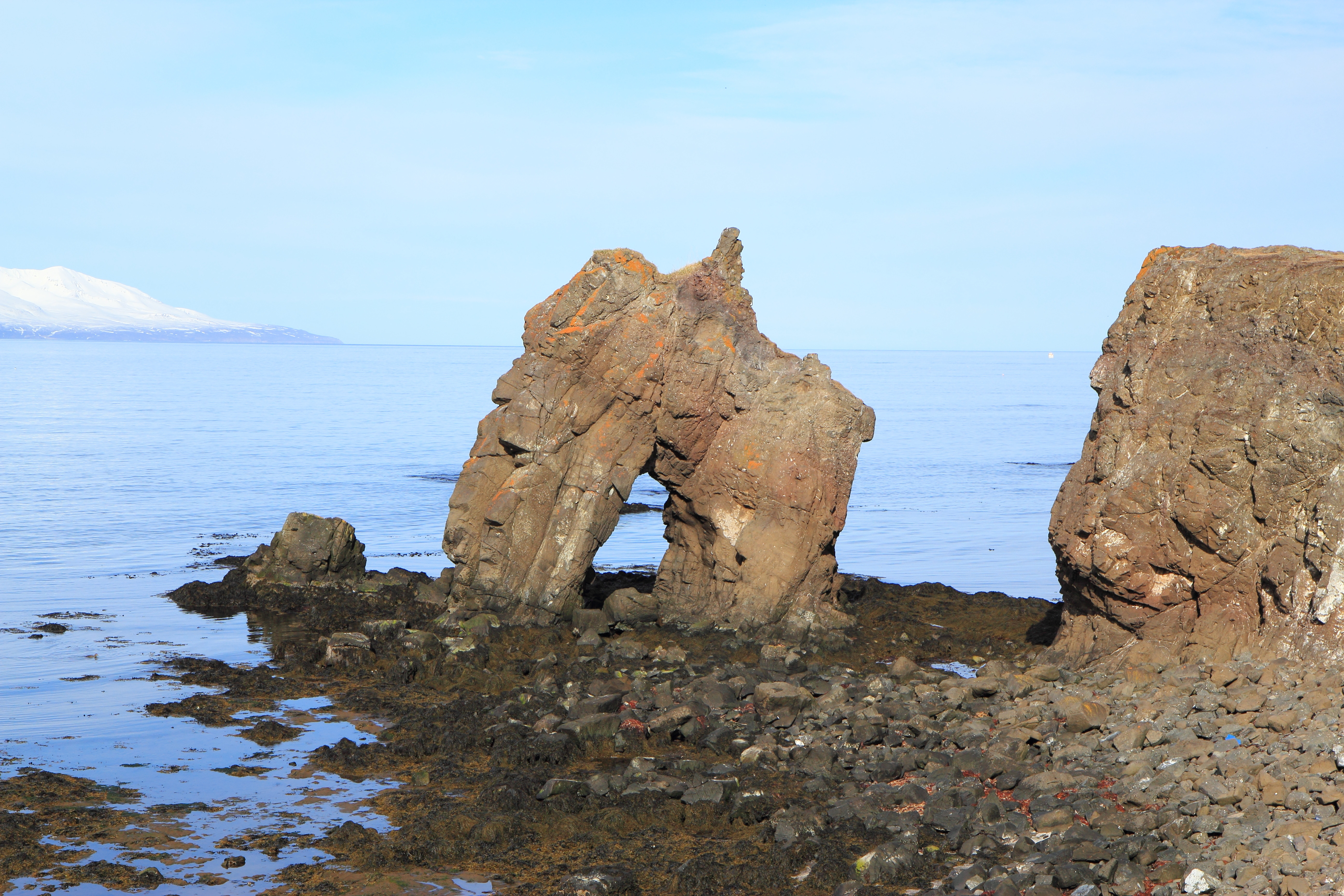 Skegla vikunnar komin út