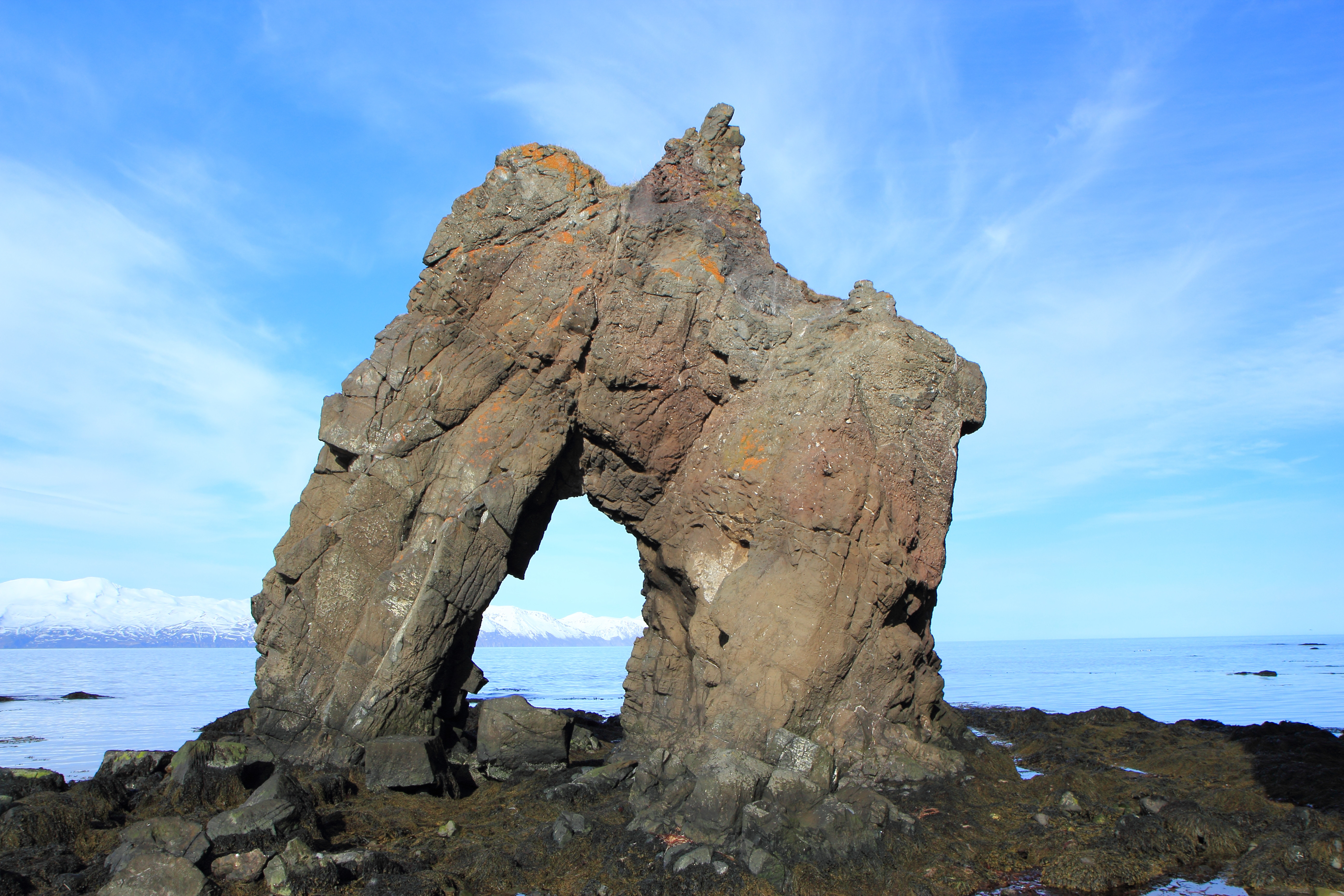 Skegla vikunnar er komin út