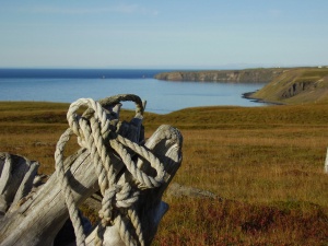 Tjörneshreppur opnar nýjan vef