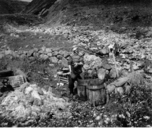 Ullarvinnsla og jurtalitun