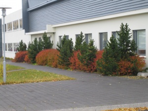 Stjórnsýsluhús Norðurþings