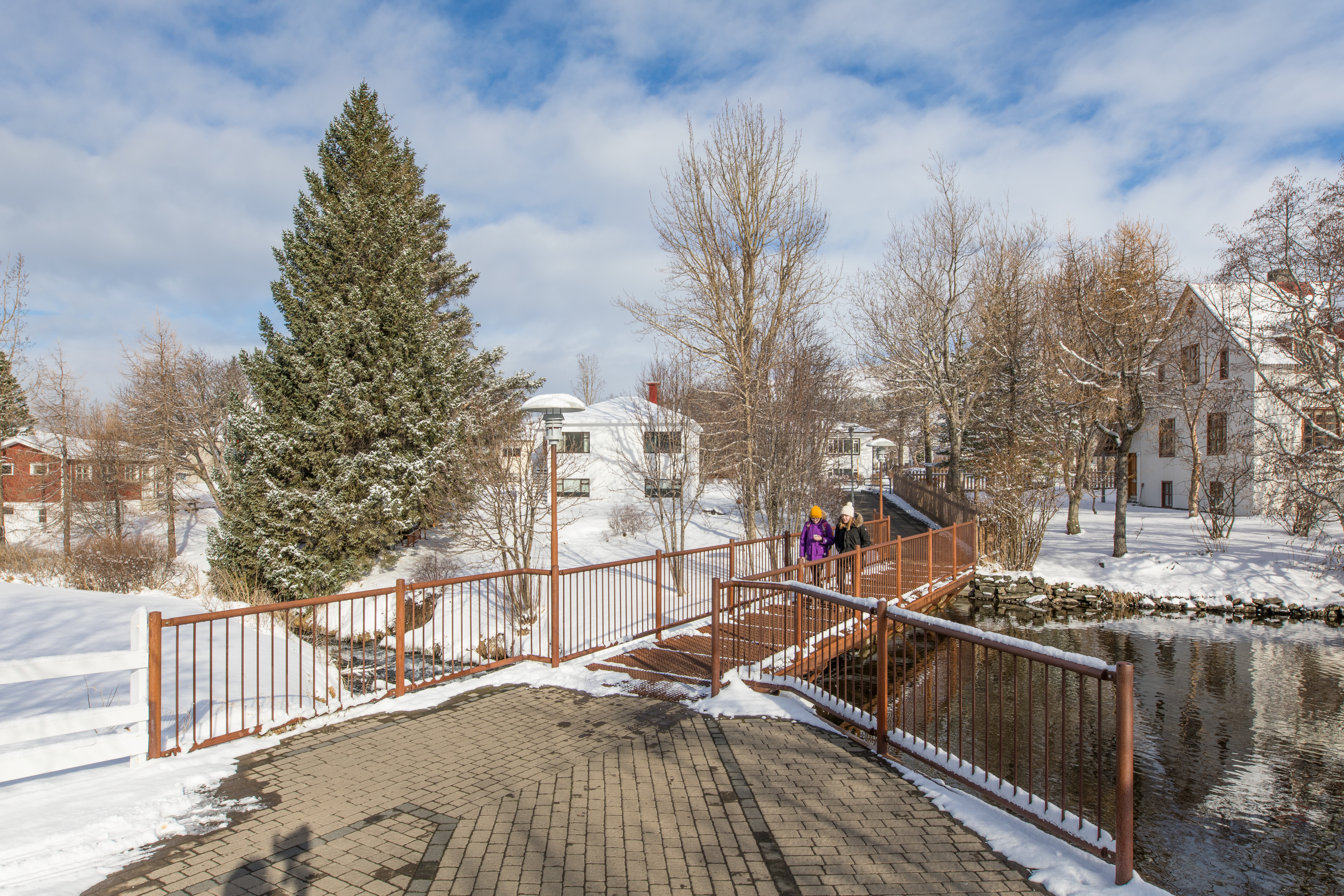 Skegla vikunnar komin út