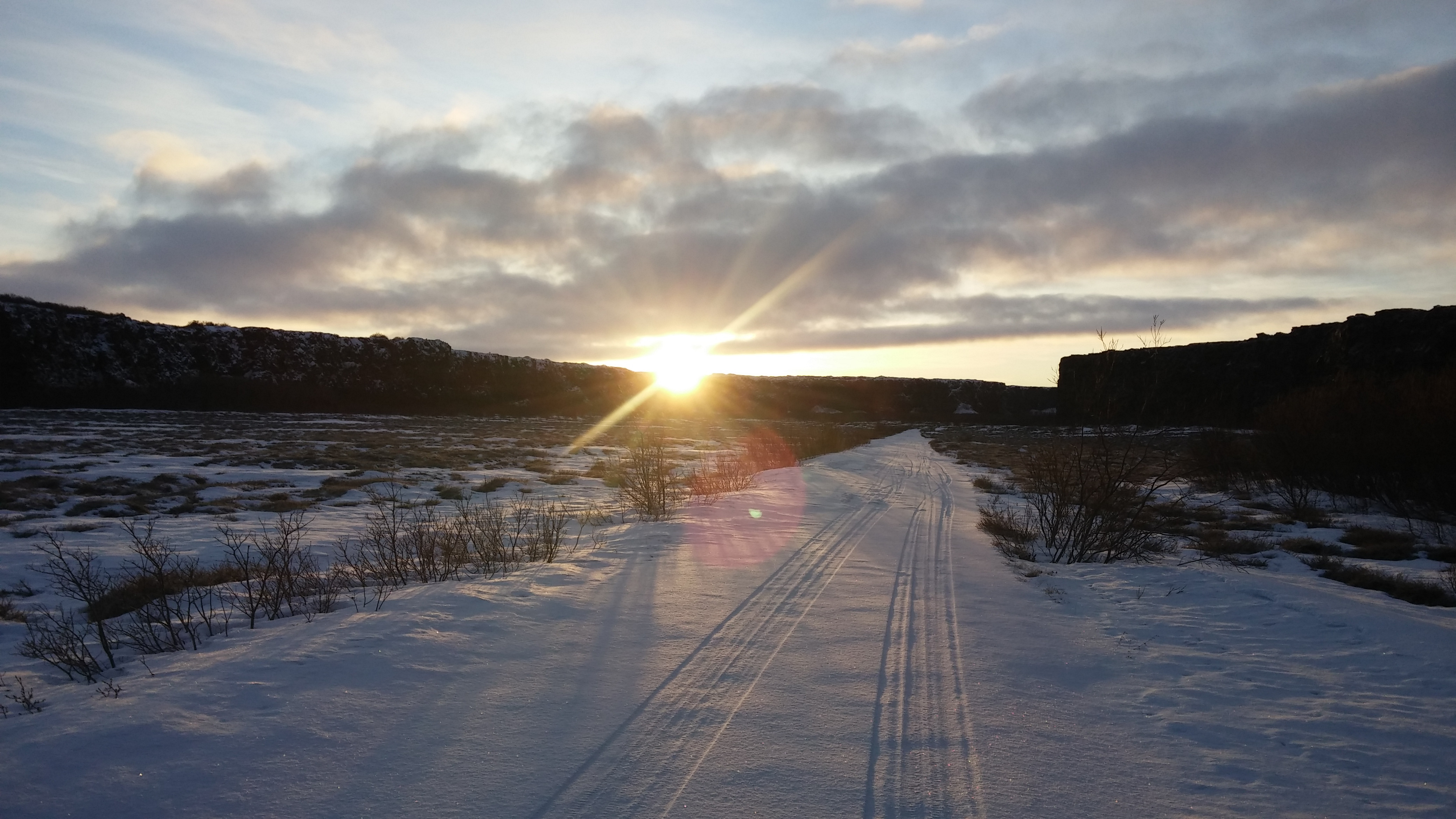 Skegla vikunnar komin út