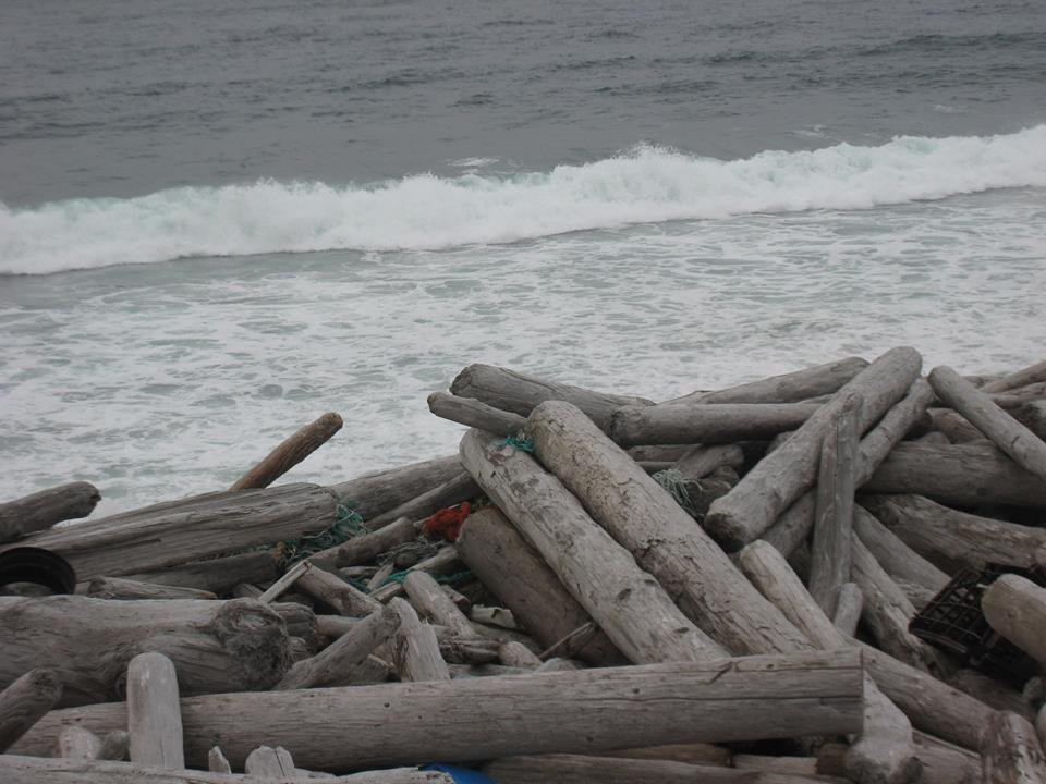 Skegla vikunnar komin út