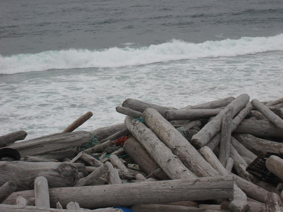 Skeglan á ensku / Skeglan newsletter in Langanes and vicinity