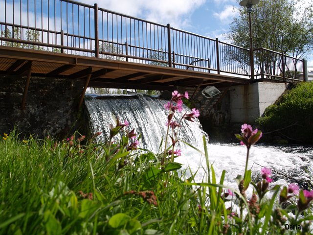 mynd/höf. ókunnur - nordurthing.is