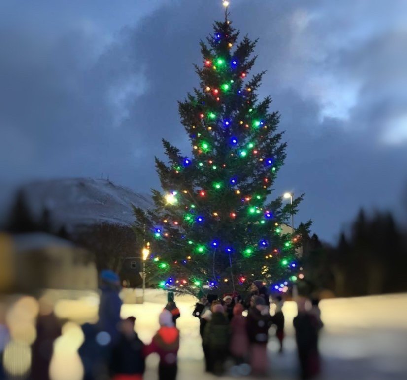 Ljósin tendruð á jólatrénu á Húsavík