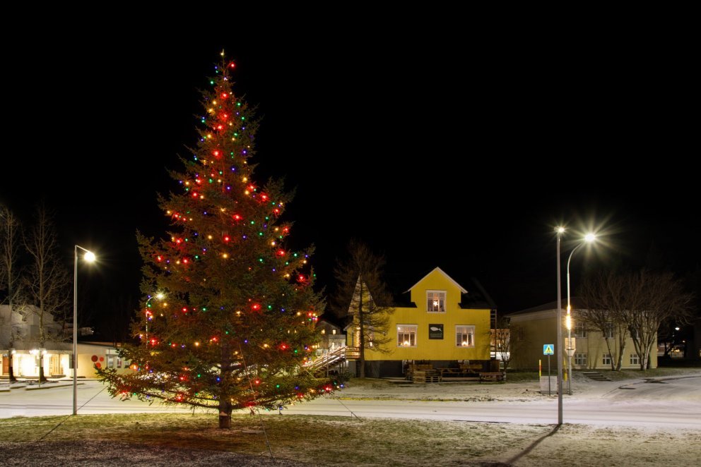 Christmas trees and branches available