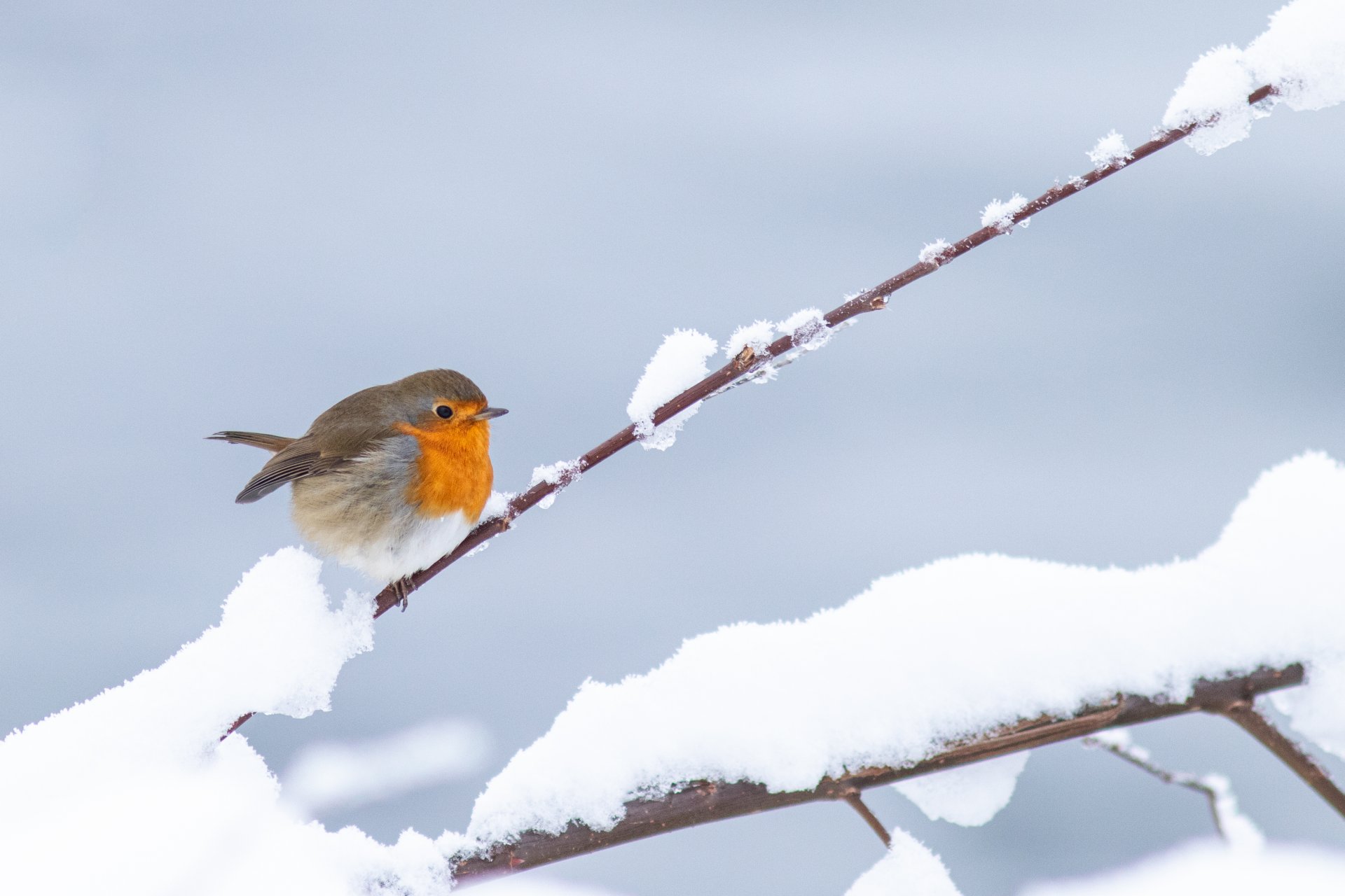 128. fundur sveitarstjórnar