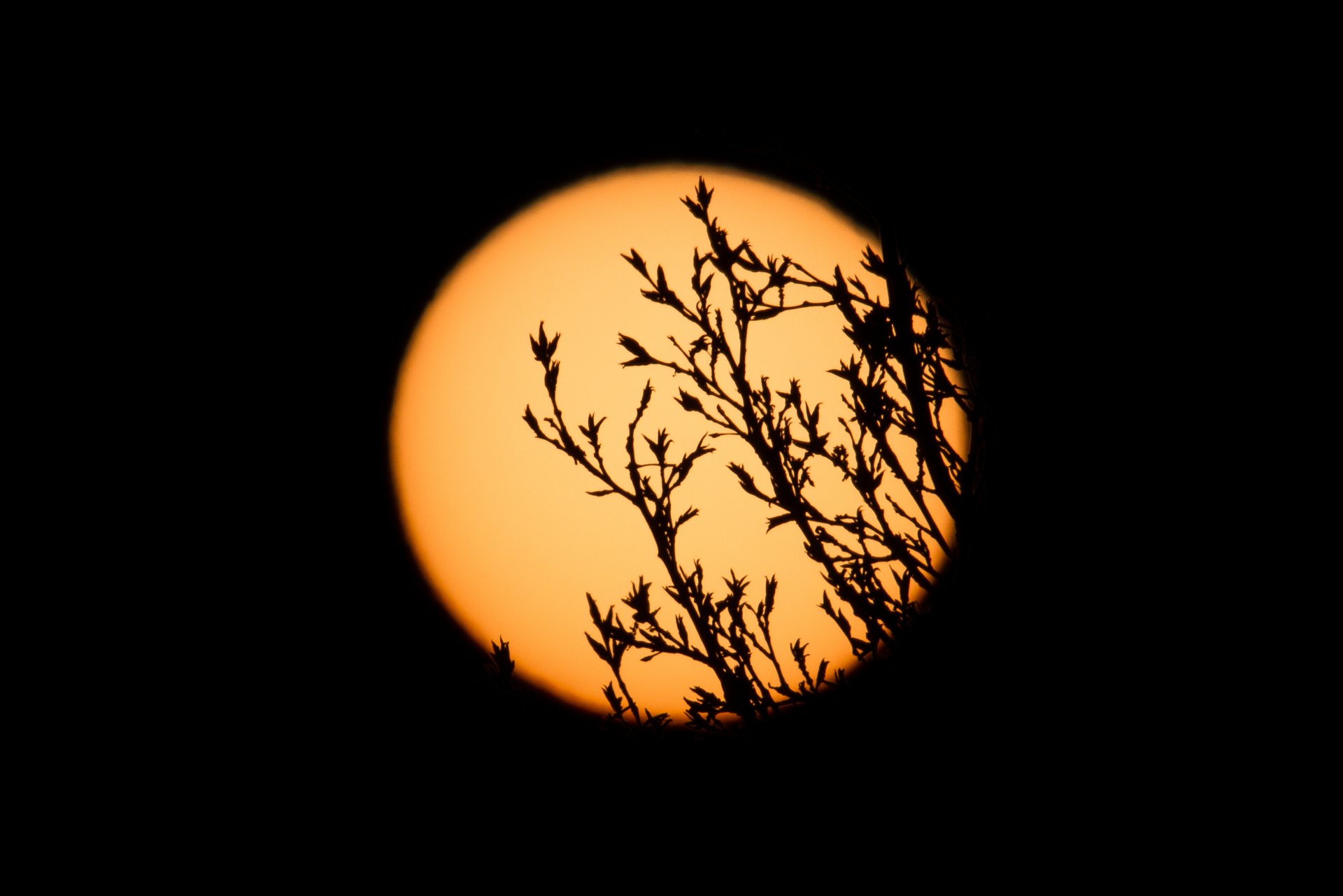 119. fundur sveitarstjórnar Norðurþings