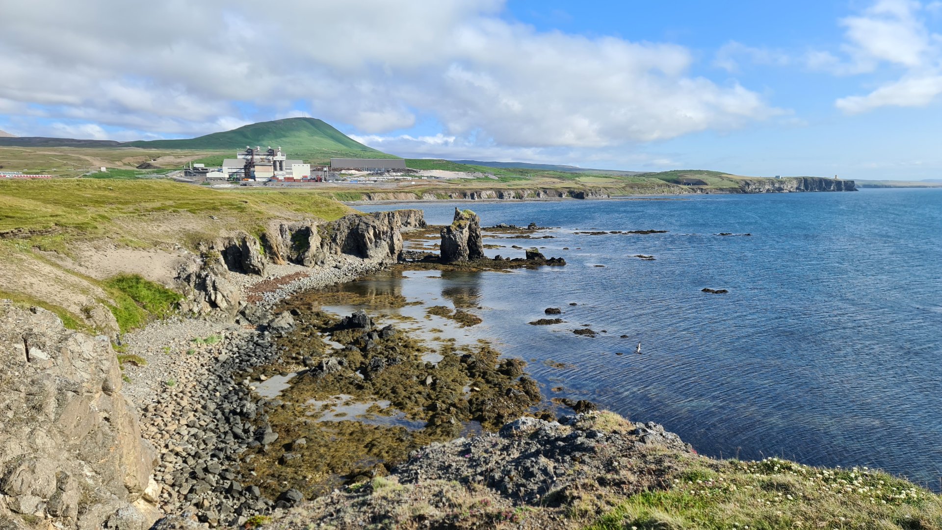 Gildi viljayfirlýsinga í þróun verkefna á Bakka