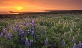 Kísilmálmverksmiðja á Bakka - opinn kynningarfundur