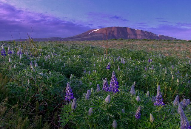 Húsavíkurfjall/mynd frá 2010