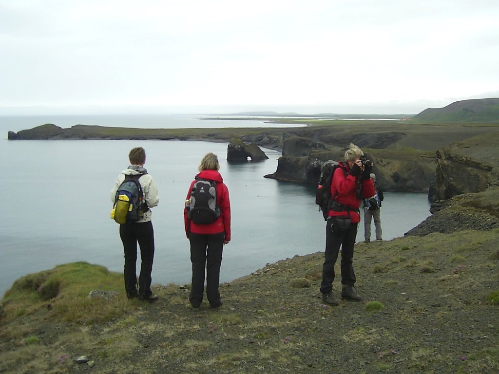 Skegla vikunnar komin út