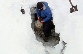 Tilkynning frá samráðshóp um áfallahjálp í Þingeyjarsýslum