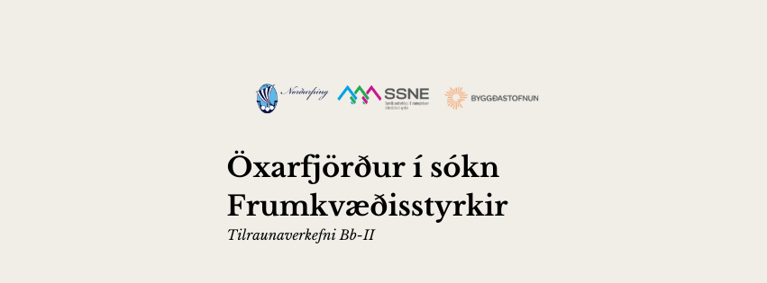 Frumkvæðisstyrkir: Allt sem þú þarf að vita