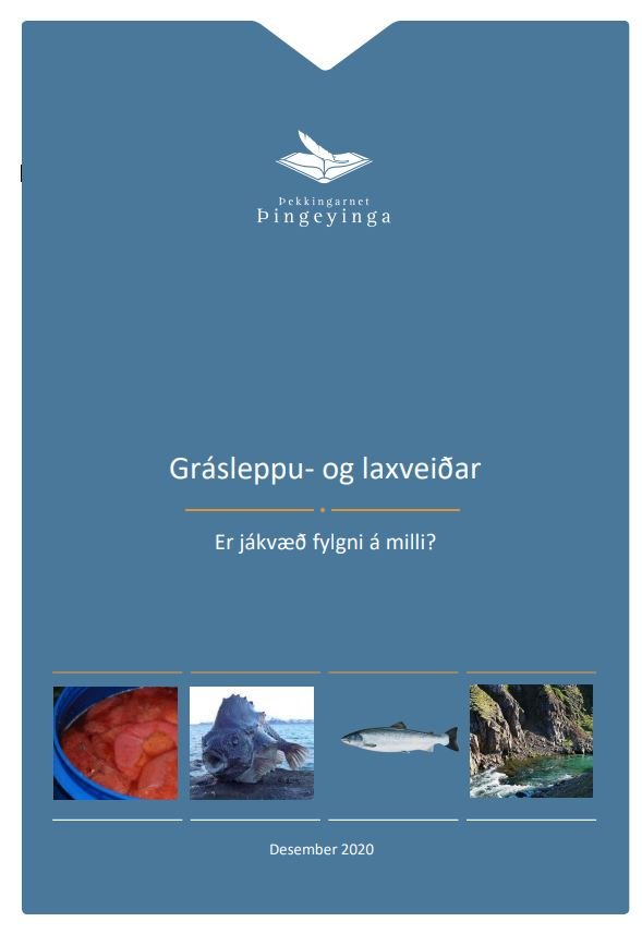 Grásleppa og laxveiðar. Er jákvæð fylgni á milli ?