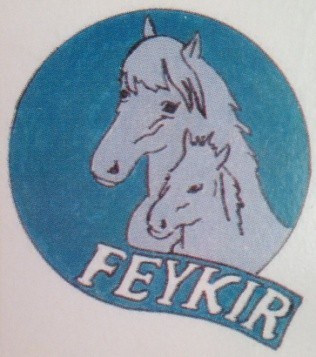 Hestamannafélagið Feykir