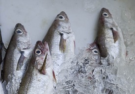 Byggðakvóti - Fundarboð