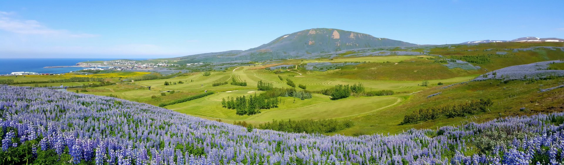 Mynd: Skarphéðinn Ívarsson