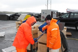 Kræklingabændur á Skjálfanda