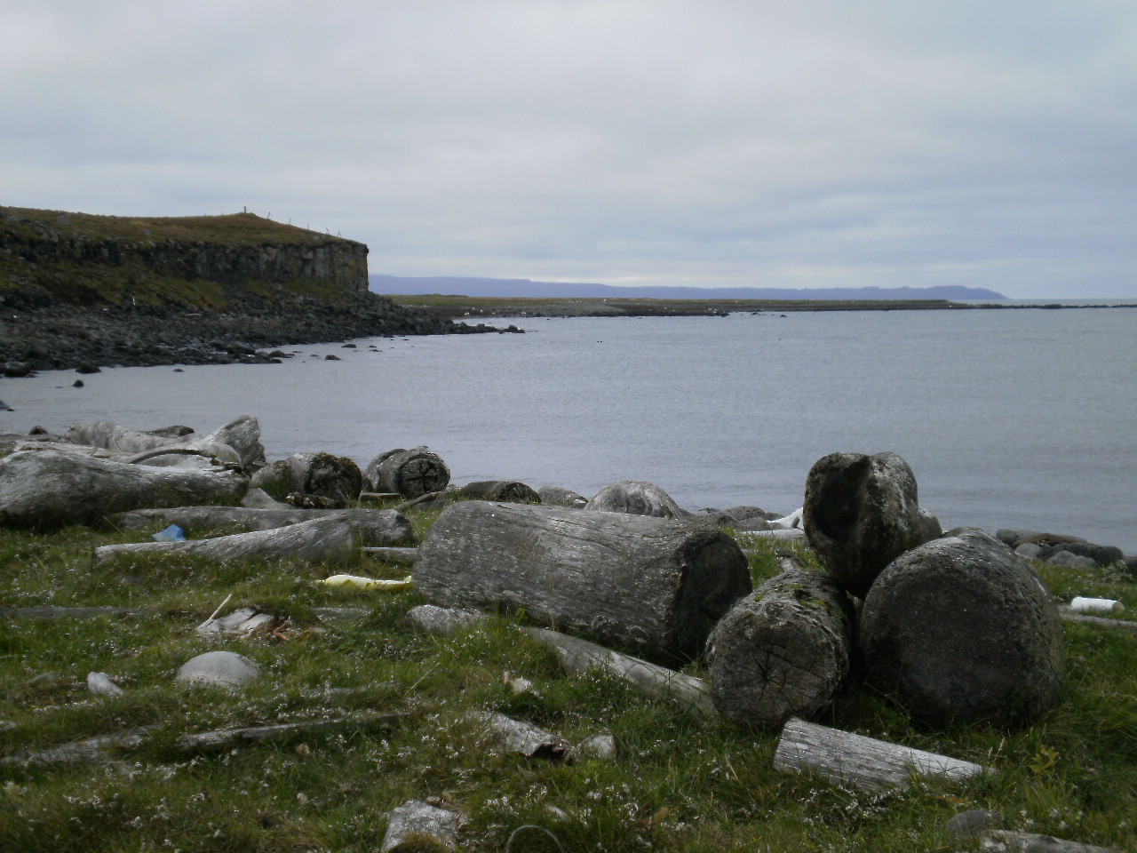 Skegla vikunnar komin út