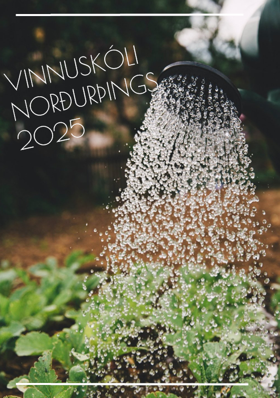 Vinnuskóli 2025